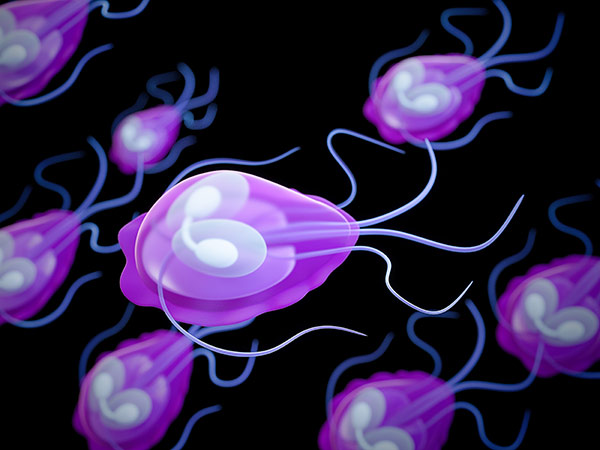 Intestinal parasites like giardia