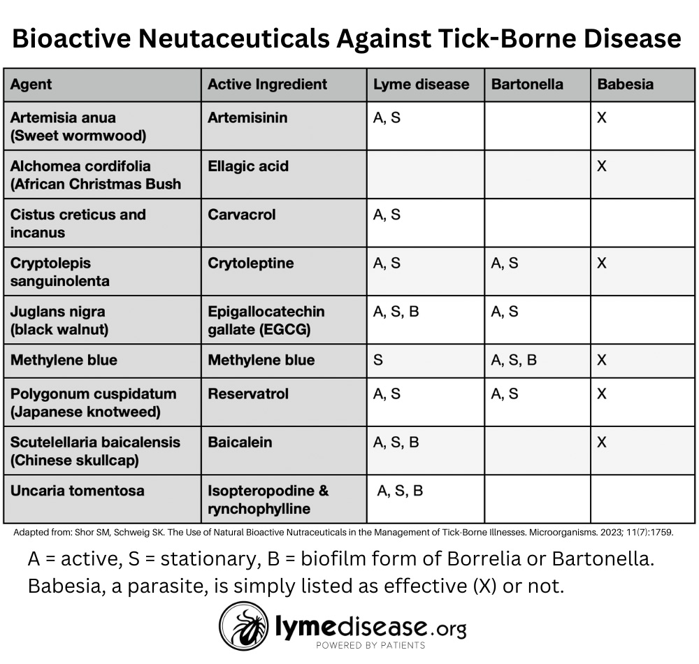 rickettsia rash