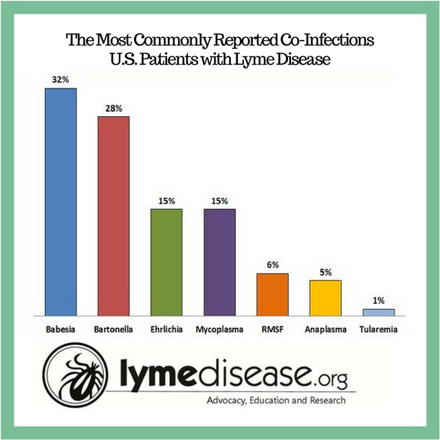 Most Commonly reported Lyme disease Co-infections