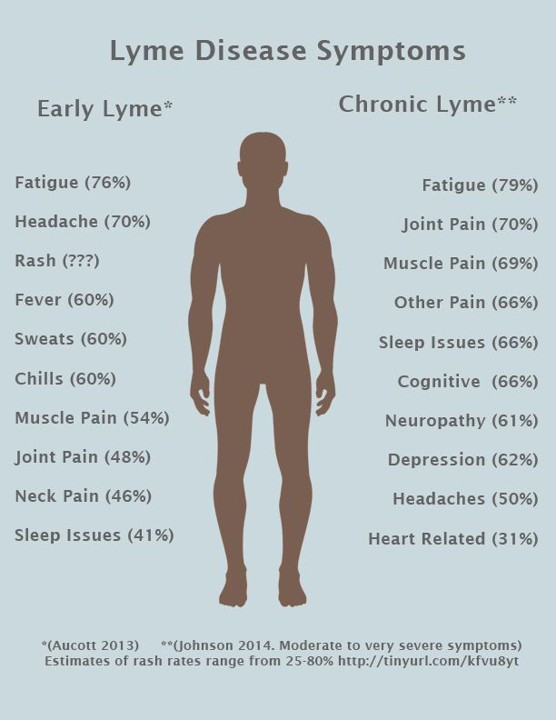 Early Lyme disease vs Chronic Lyme disease symptoms