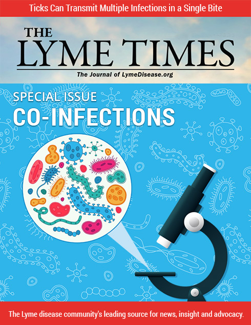 LymeTimes Special Issue Lyme Disease Books