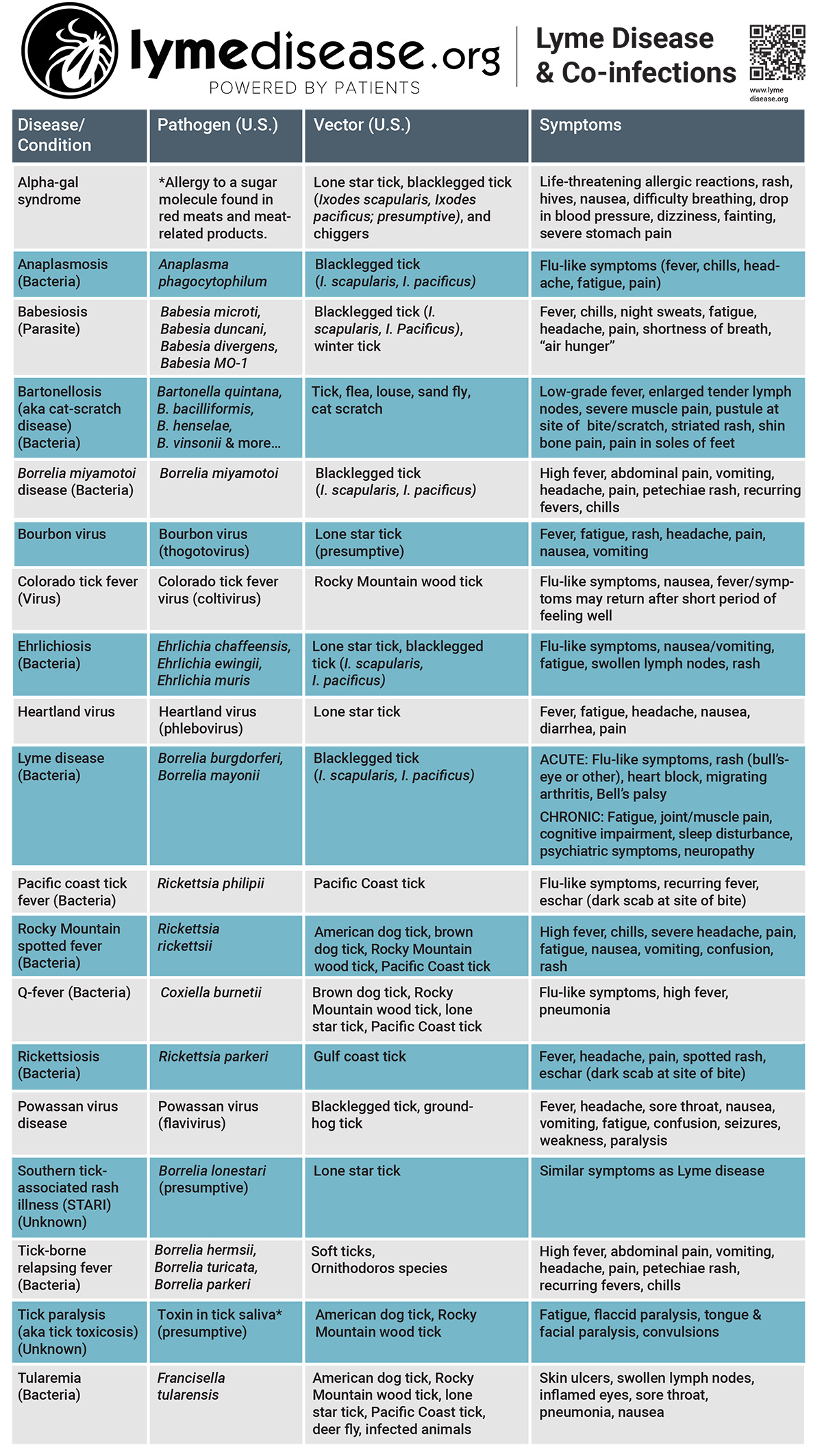 Lyme disease coinfections chart