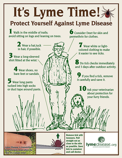 Lyme Disease Prevention Poster