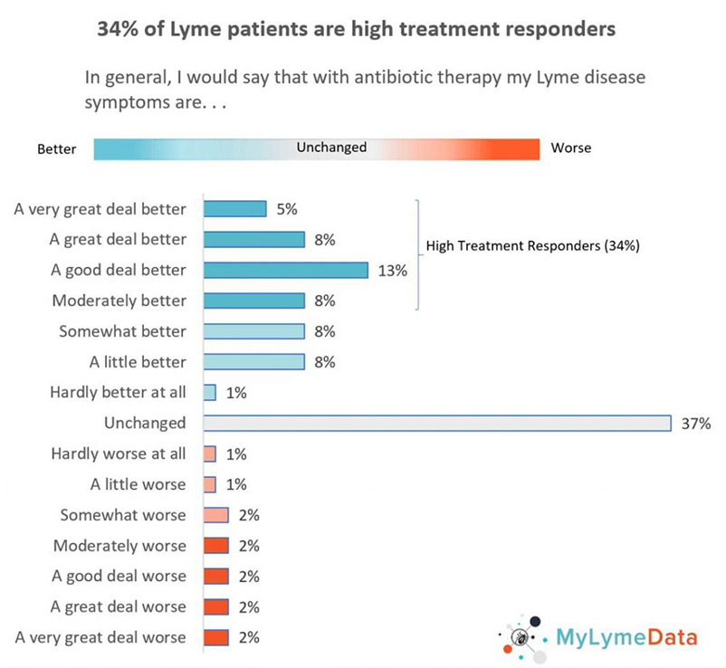 Lyme disease treatment super responders