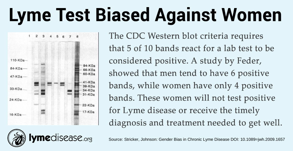 Lyme tests biased against women