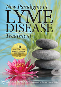 New Paradigms in Lyme Disease Treatment