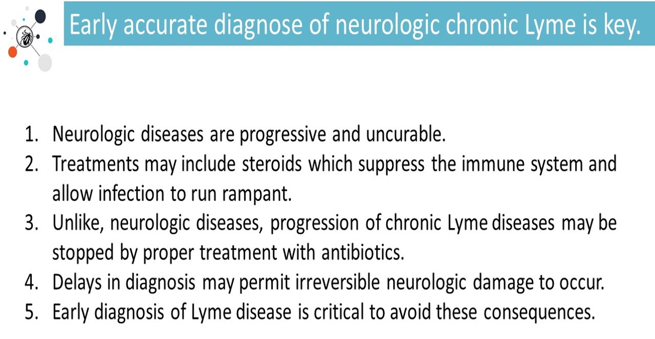 neuro Lyme cropped