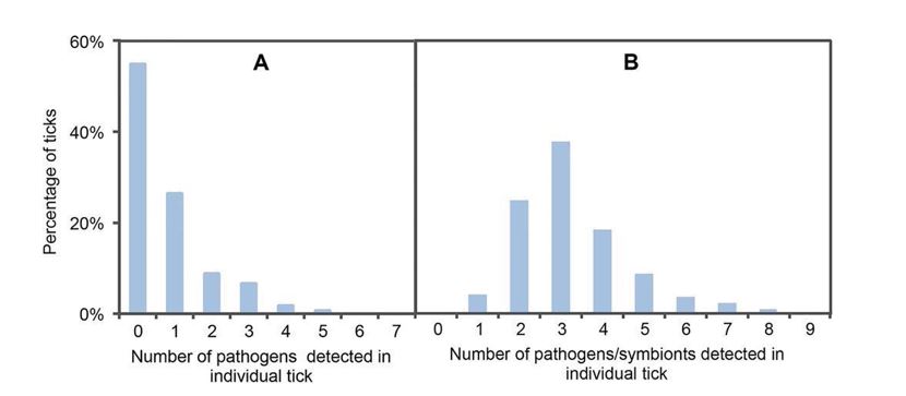 tick transmit pathogens