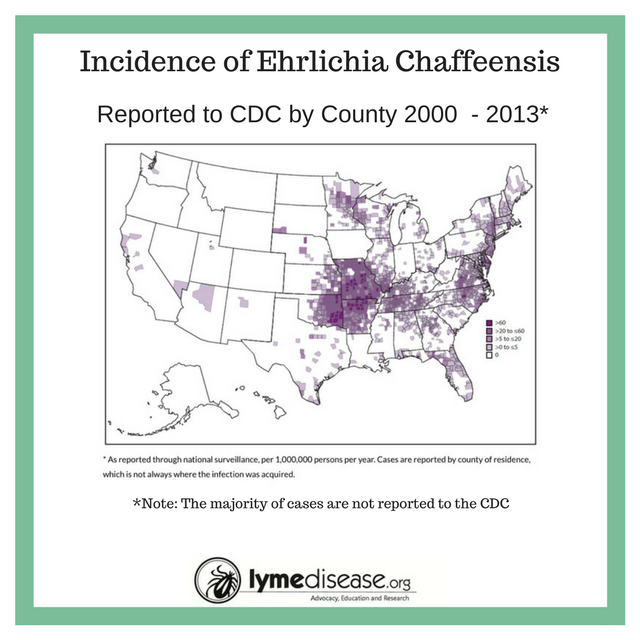 Incidence of Ehrlichia Tick-Brone Disease