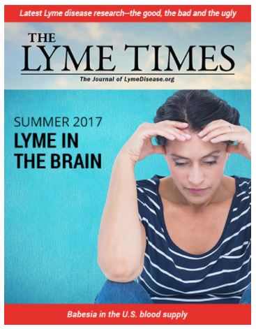 The latest issue of the Lyme Times is out, read now. Become a member.