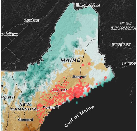 Ticks in Maine