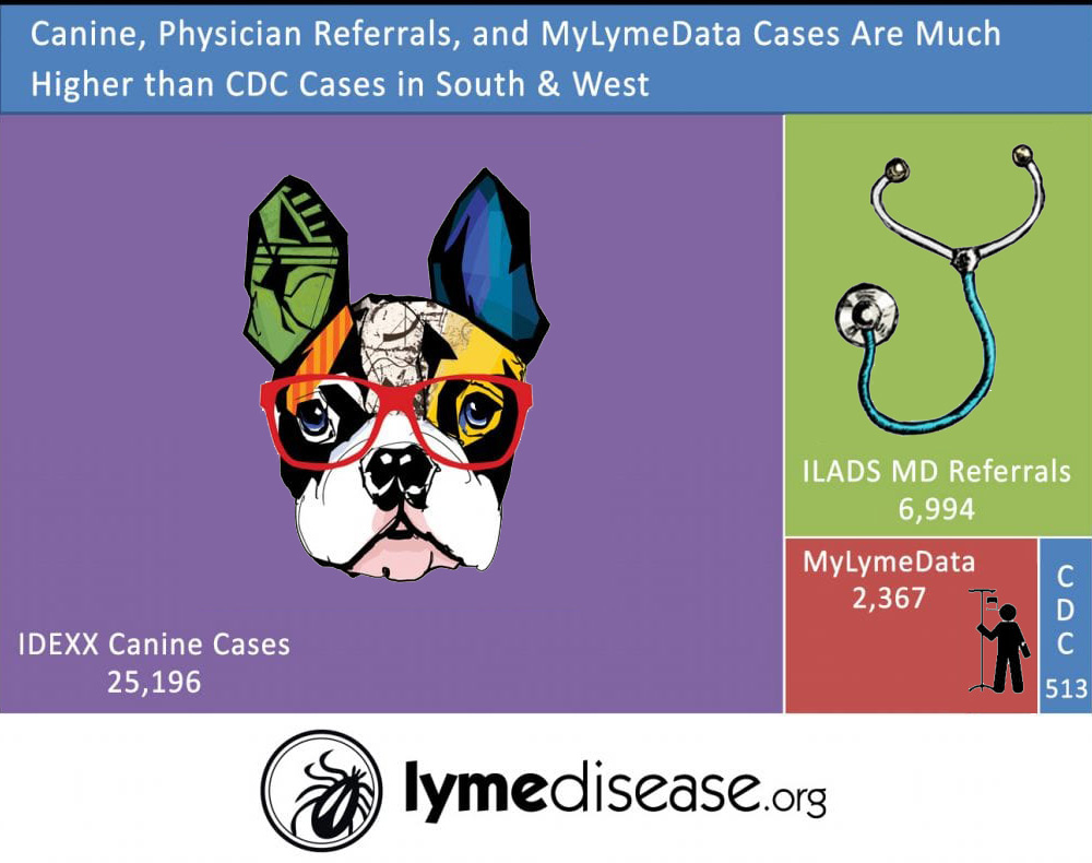 canine cdc lyme disease cases