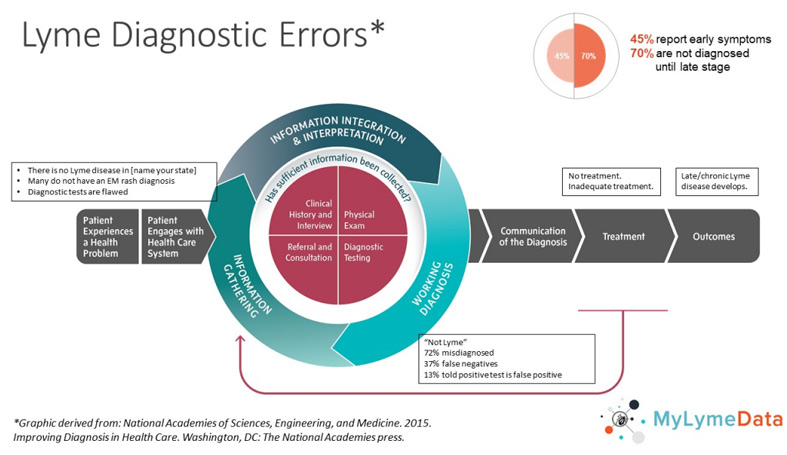 Misdiagnosis is quite common in Lyme disease