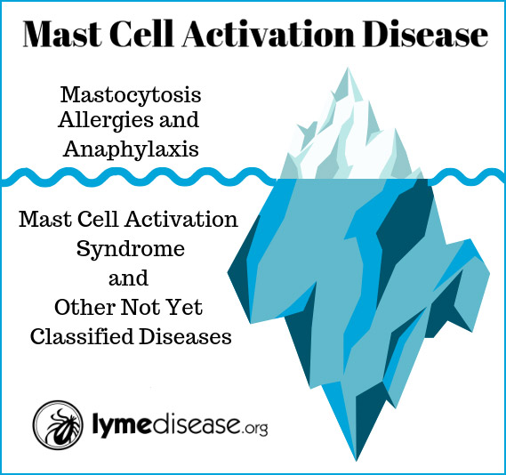 mast cell activation syndrome