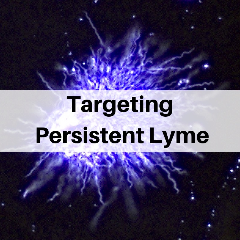 Targeting persistent Lyme