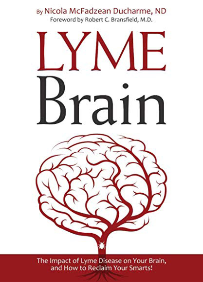 lyme disease in the brain