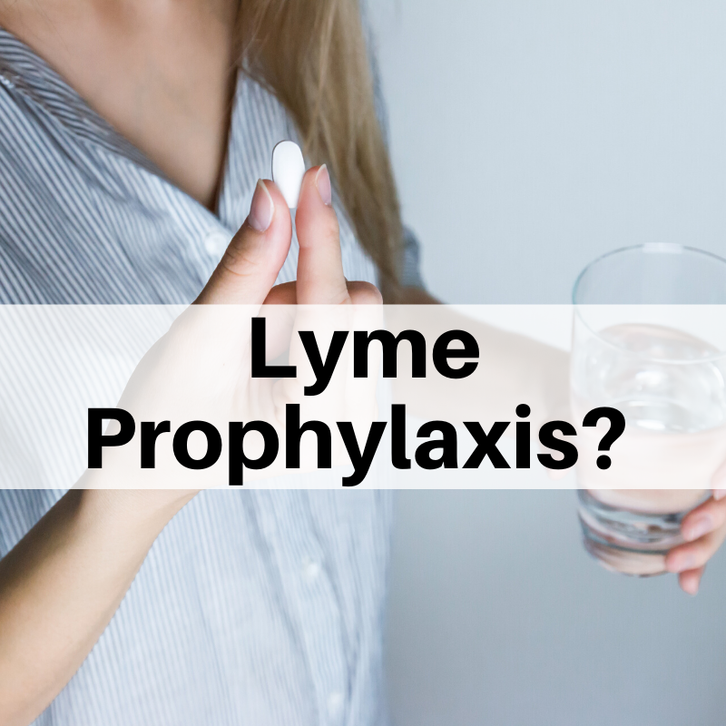 Lyme prophylaxis