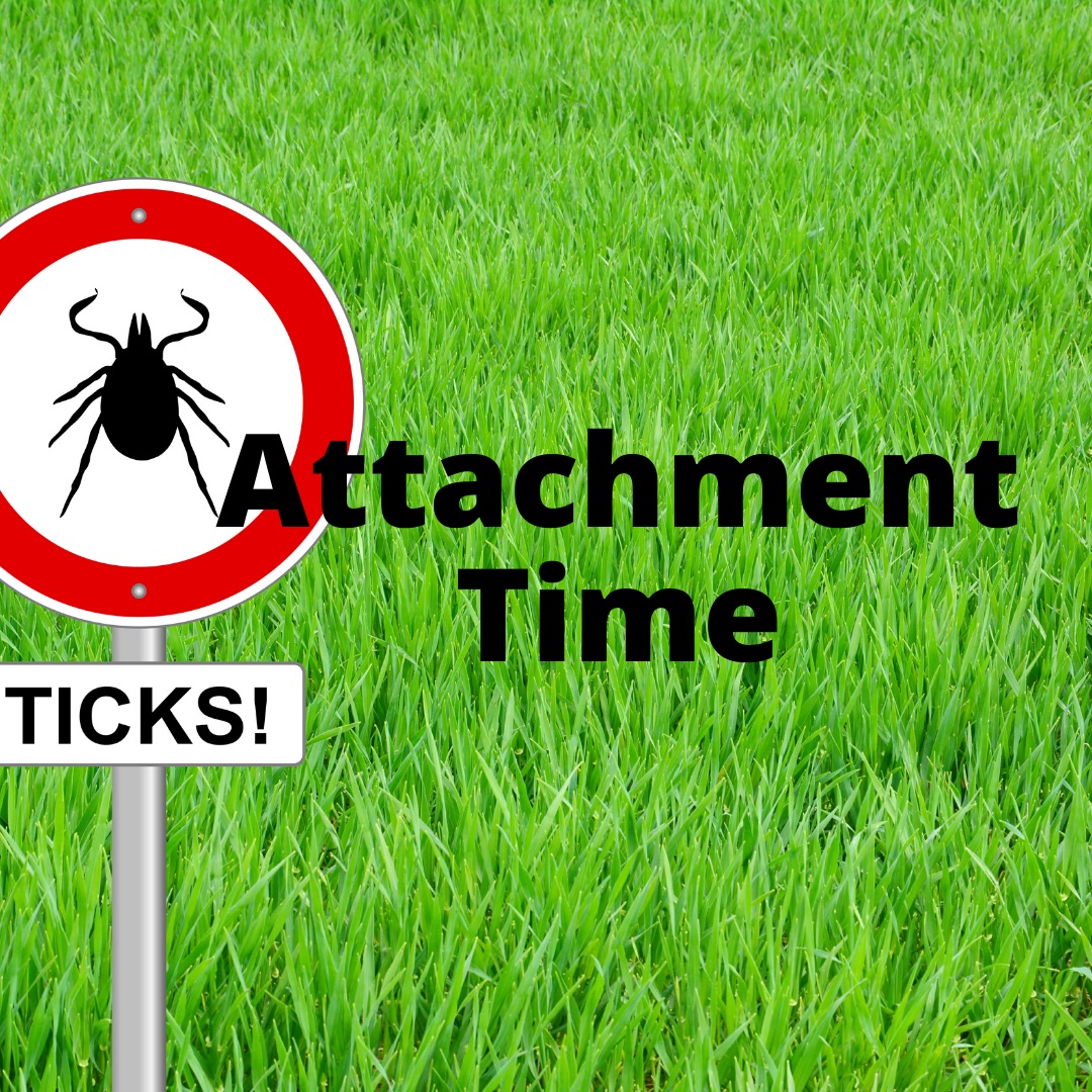 No Safe Tick attachment time