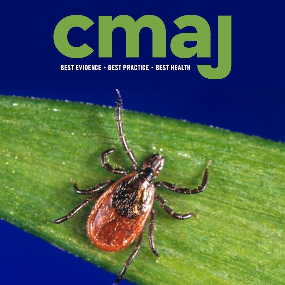 cmaj lyme carditis