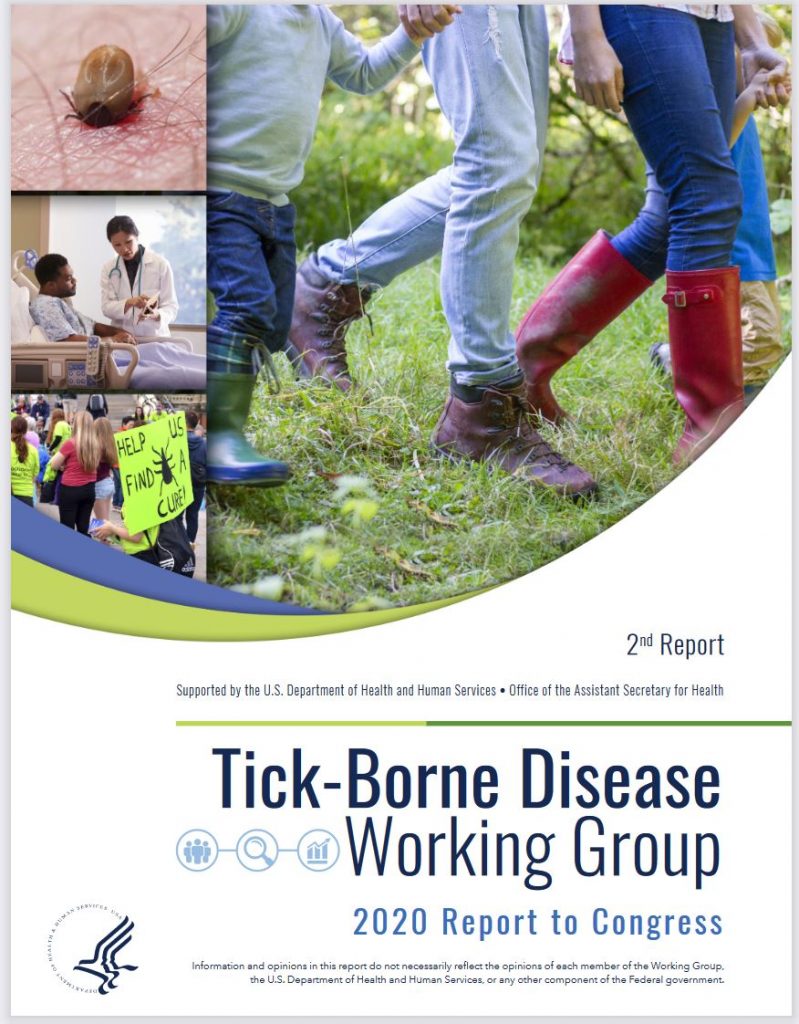 TBDWG report cover 2020