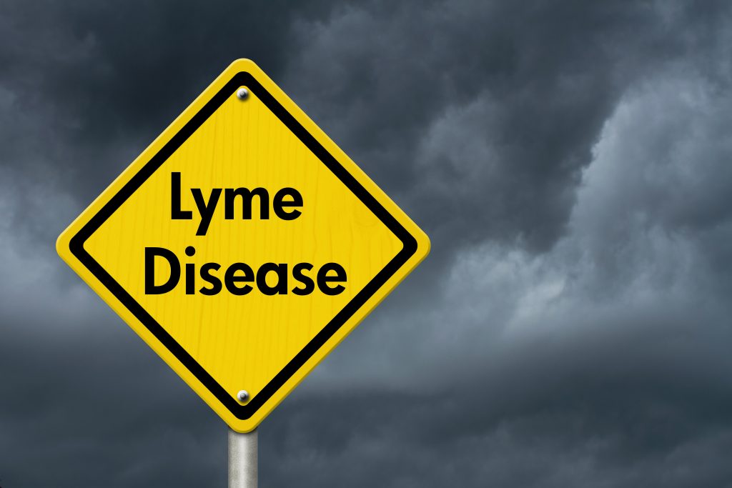 Lyme disease warning