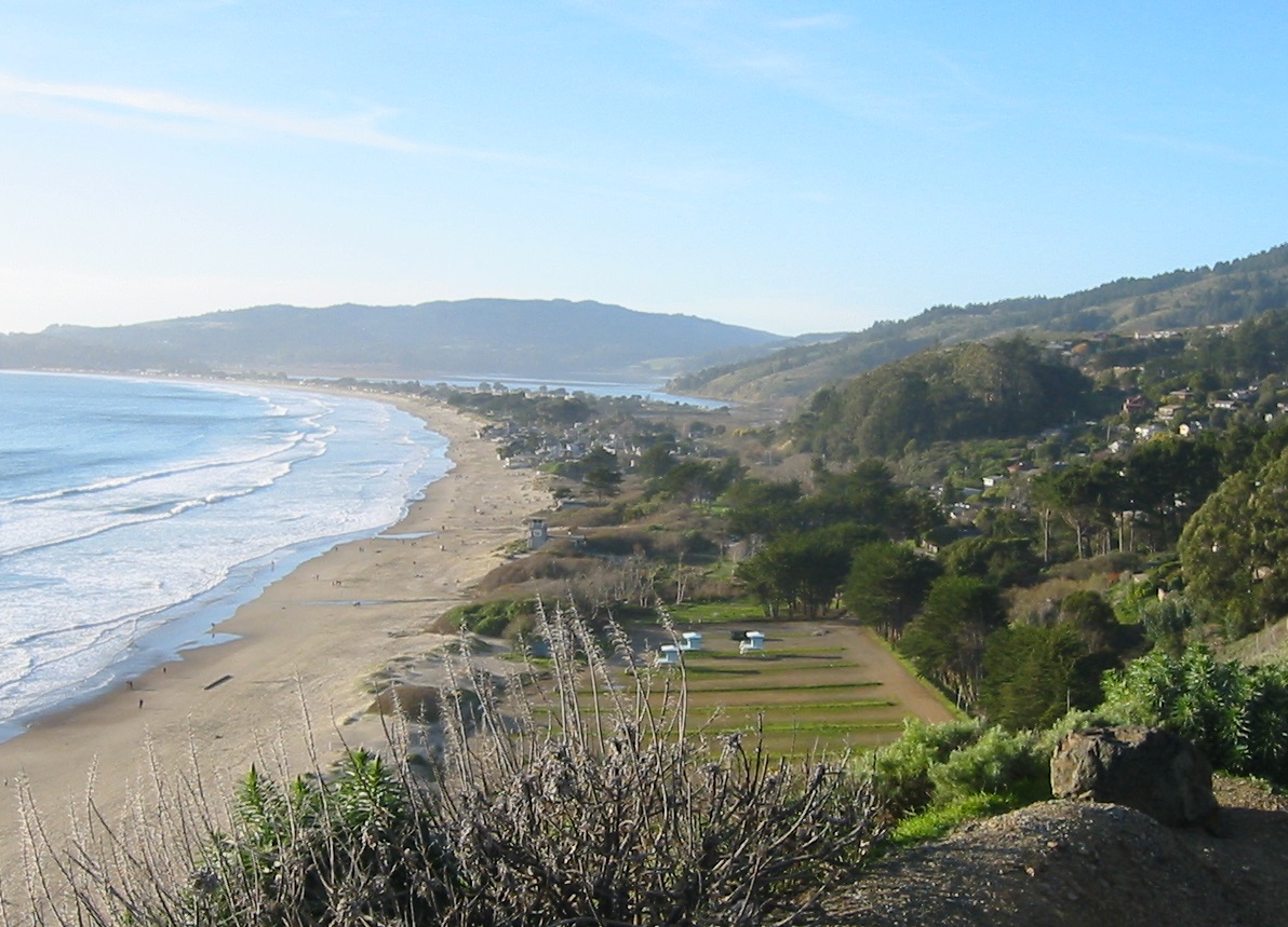 northern calif beaches ticks